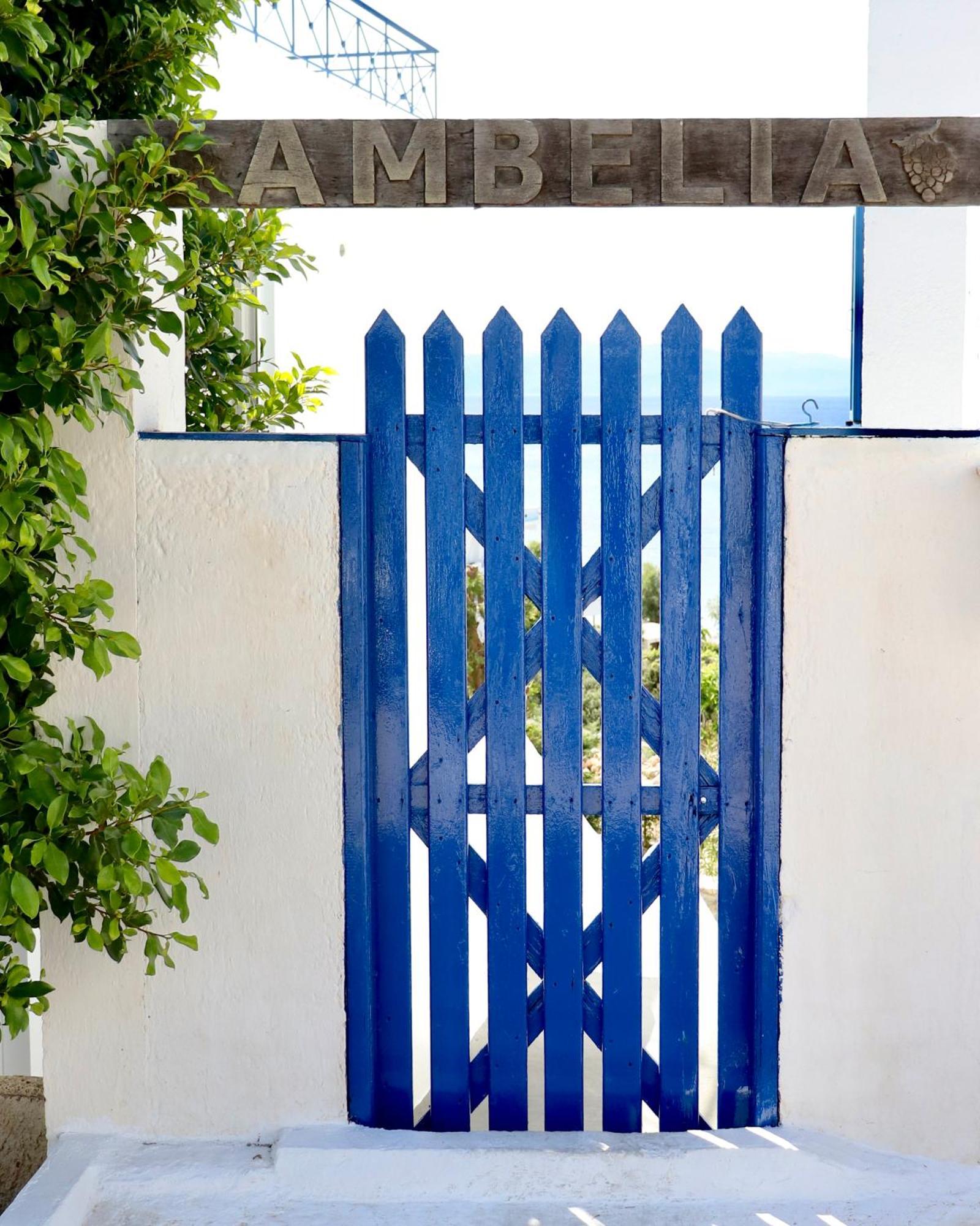דירות Megalochori  2 Ambelia Paradise מראה חיצוני תמונה